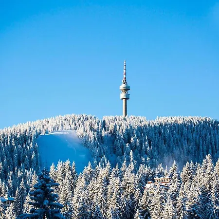 Sunny Hills Ski&wellness 아파트호텔 팜포로보