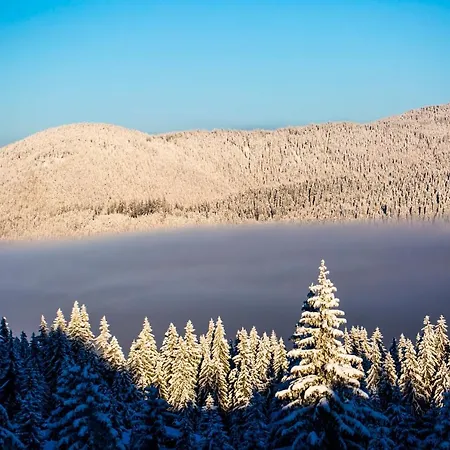 Sunny Hills Ski&wellness Aparthotel Pamporovo