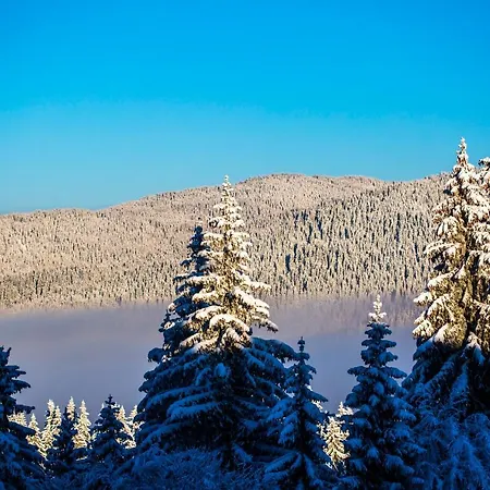 Sunny Hills Ski&wellness 潘波洛沃