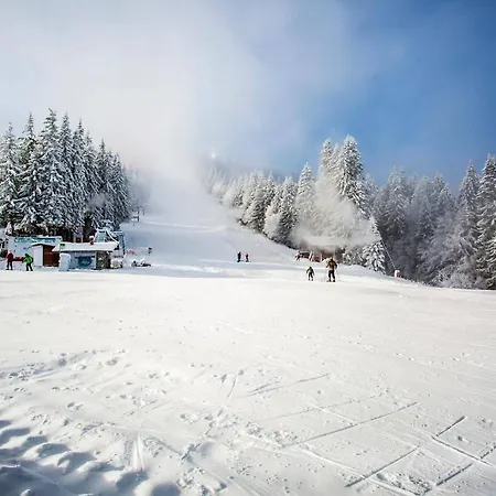 Sunny Hills Ski&wellness