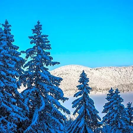 Sunny Hills Ski&wellness Aparthotel