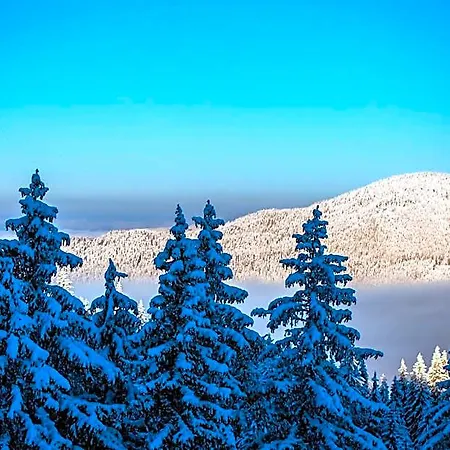 Sunny Hills Ski&wellness Aparthotel Pamporovo