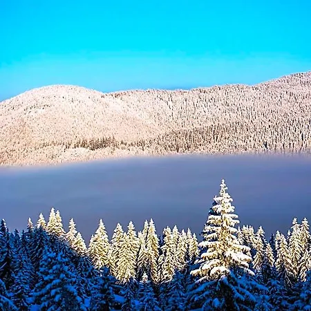 Aparthotel Sunny Hills Ski&wellness Pamporovo
