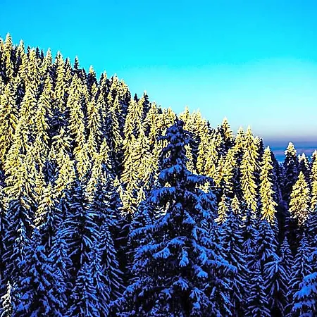 Sunny Hills Ski&wellness Pamporovo