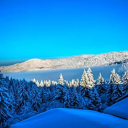 Sunny Hills Ski&wellness