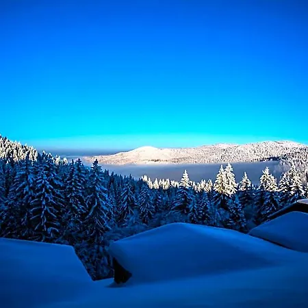 Sunny Hills Ski&wellness 2* Pamporovo