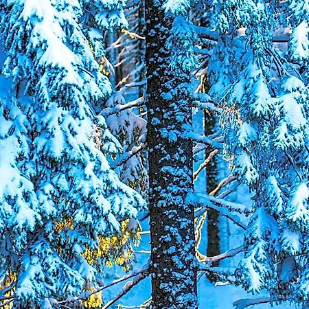 Sunny Hills Ski&wellness 2*