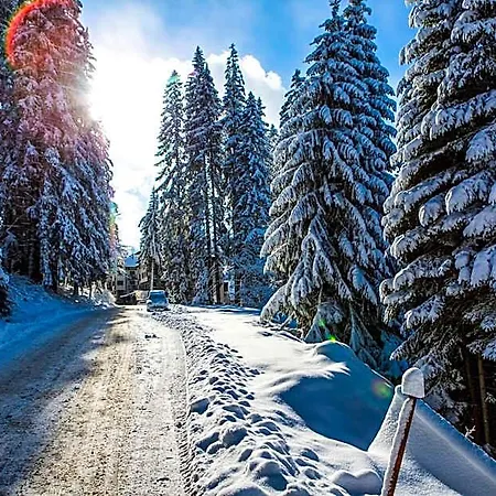Sunny Hills Ski&wellness Lejlighedshotel Pamporovo