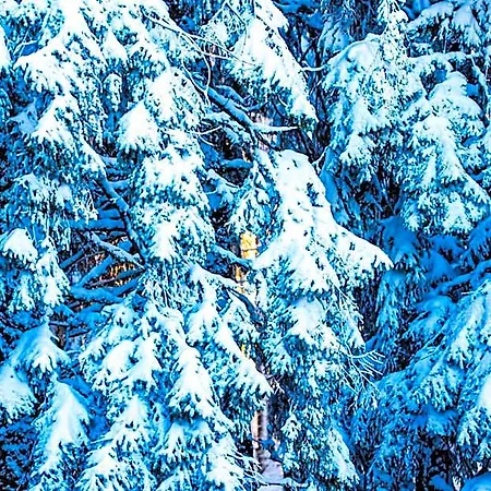 Sunny Hills Ski&wellness Pamporovo