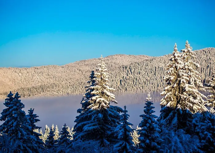 Sunny Hills Ski&wellness Pamporowo