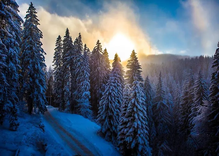 Sunny Hills Ski&wellness 2*